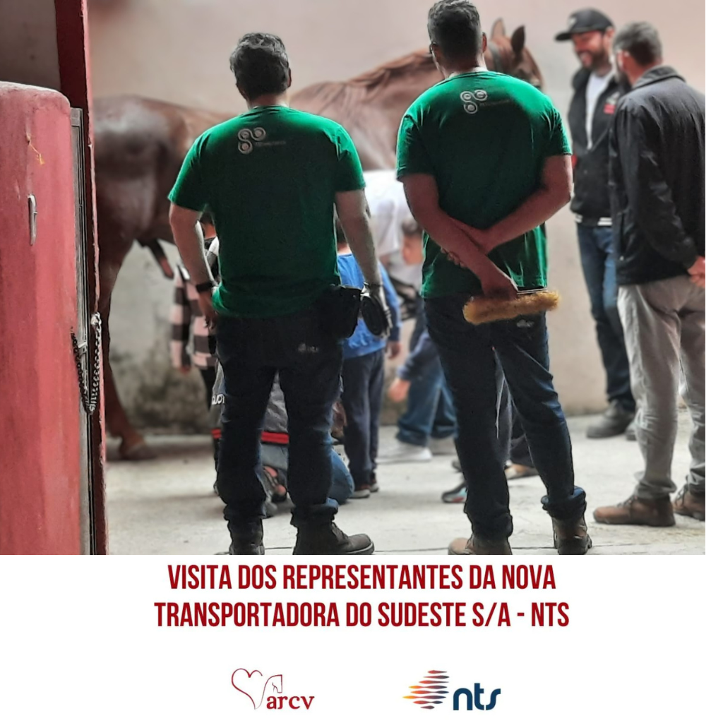 Visita dos Representantes da Nova Transportadora do Sudeste S/A – NTS